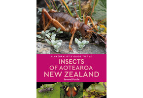 A Naturalist’s Guide to the Insects of Aotearoa New Zealand
