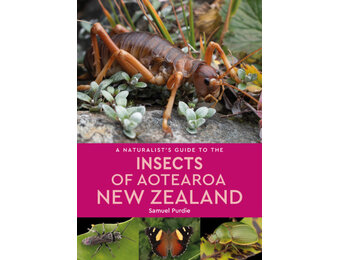 A Naturalist’s Guide to the Insects of Aotearoa New Zealand