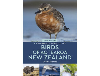 A Naturalist’s Guide to the Birds of Aotearoa New Zealand