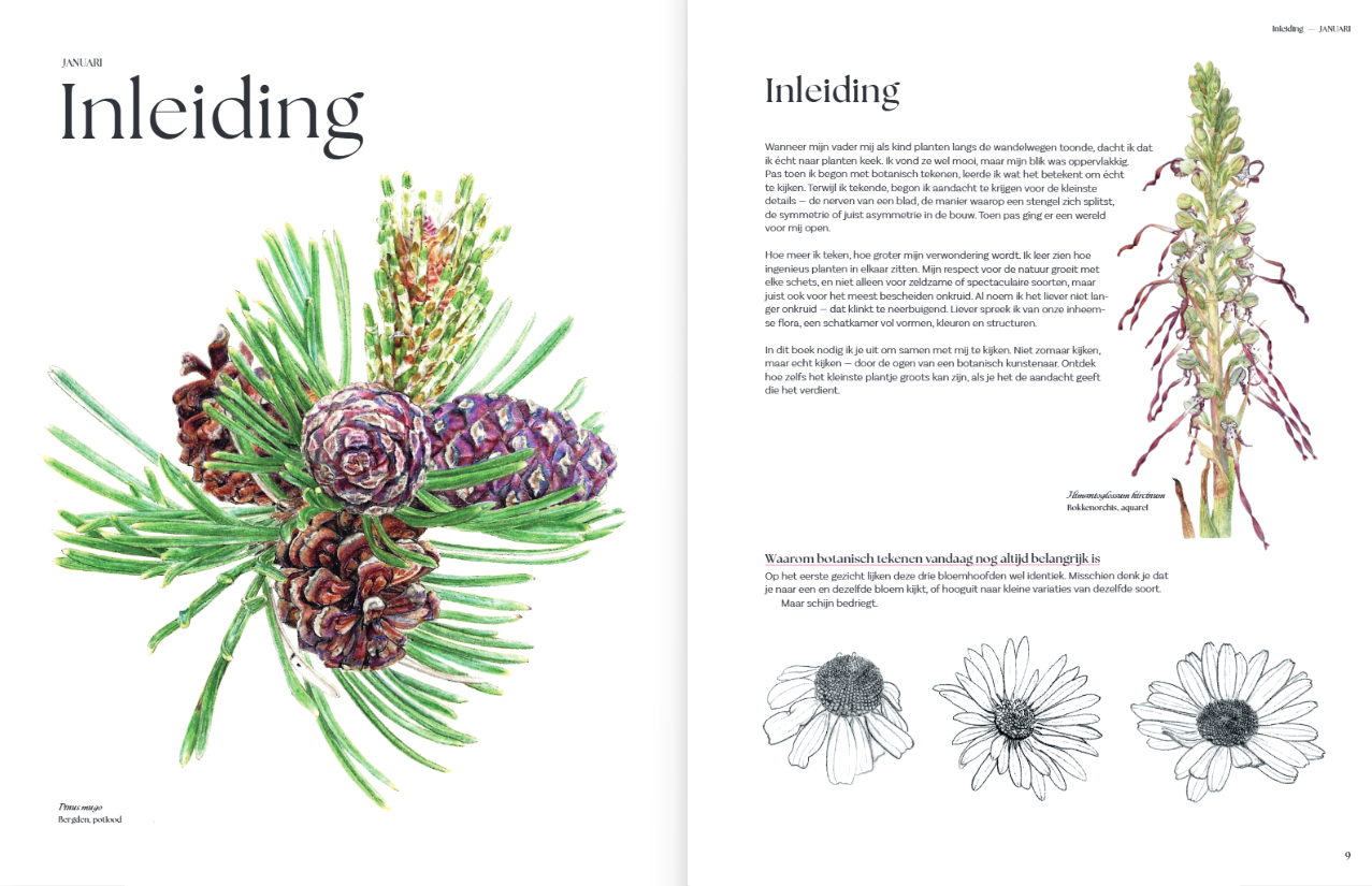 Botanisch tekenen - Leer stap voor stap prachtige planten tekenen en inkleuren
