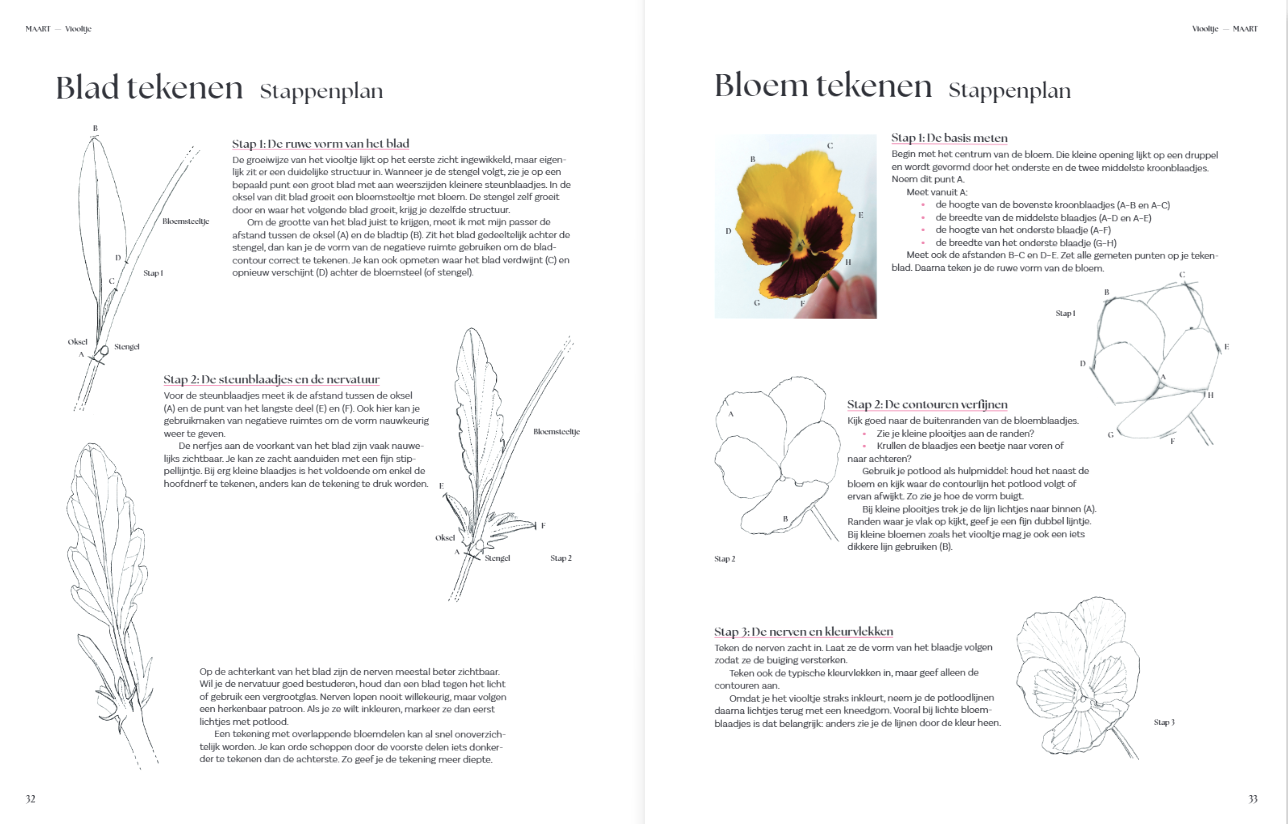 Botanisch tekenen - Leer stap voor stap prachtige planten tekenen en inkleuren