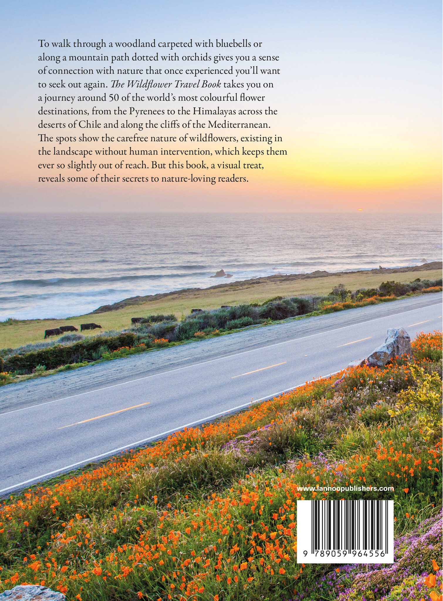 The Wildflower Travel Book - 50 colourful destinations in nature