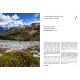 The Wildflower Travel Book - 50 colourful destinations in nature