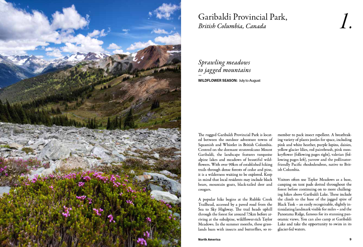 The Wildflower Travel Book - 50 colourful destinations in nature