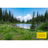 The Wildflower Travel Book - 50 colourful destinations in nature