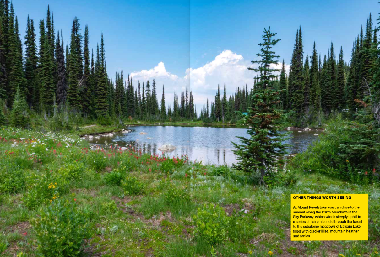 The Wildflower Travel Book - 50 colourful destinations in nature