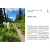 The Wildflower Travel Book - 50 colourful destinations in nature
