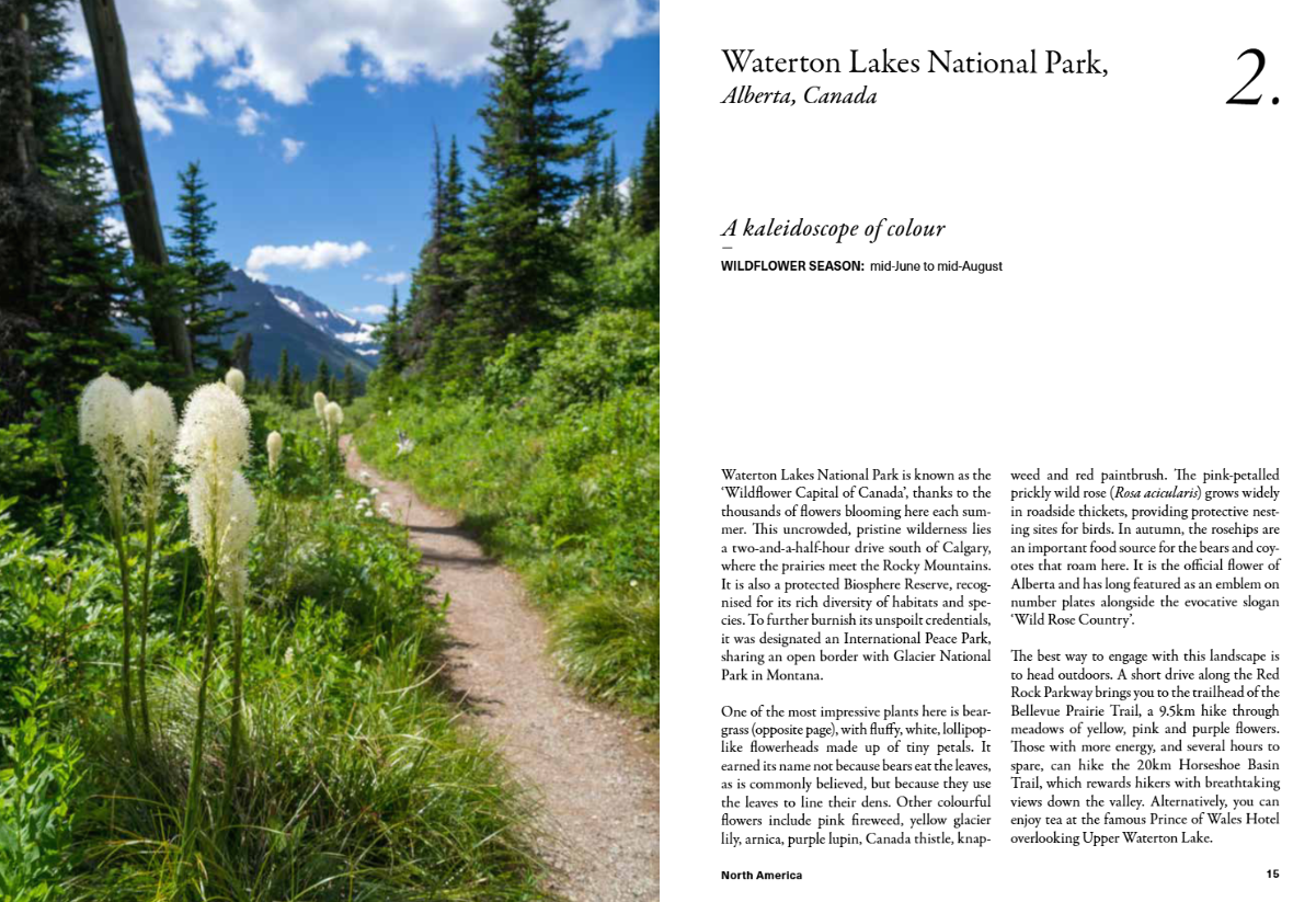 The Wildflower Travel Book - 50 colourful destinations in nature
