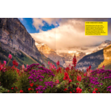 The Wildflower Travel Book - 50 colourful destinations in nature