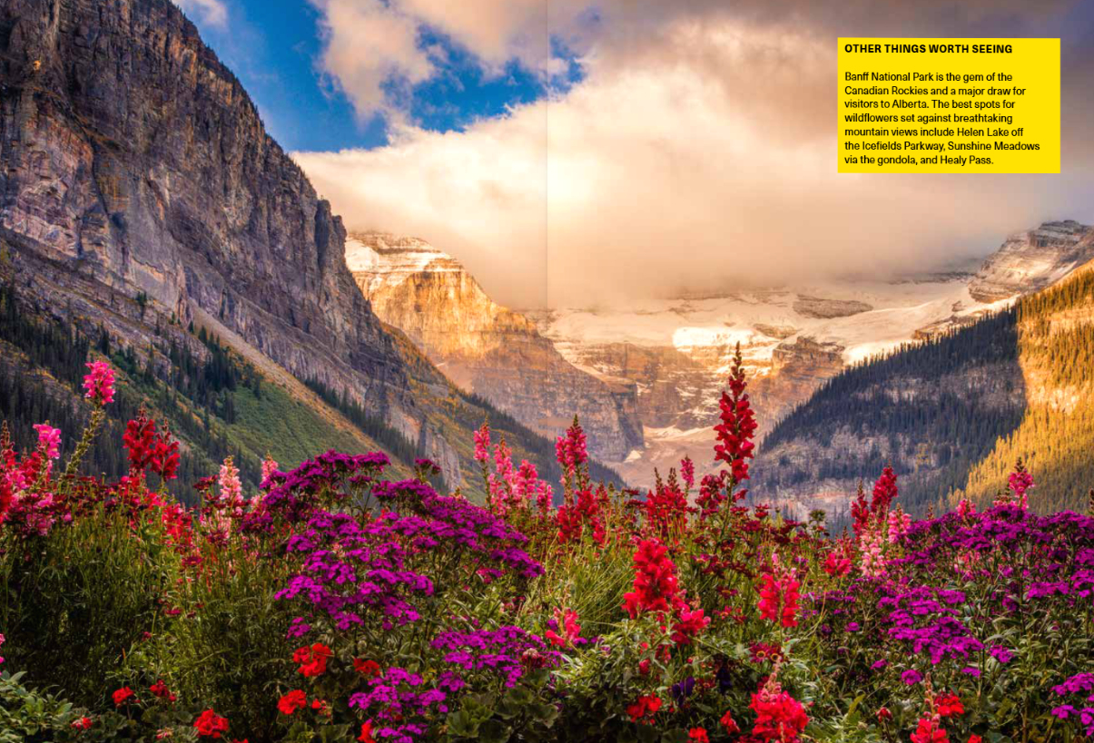 The Wildflower Travel Book - 50 colourful destinations in nature