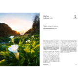The Wildflower Travel Book - 50 colourful destinations in nature