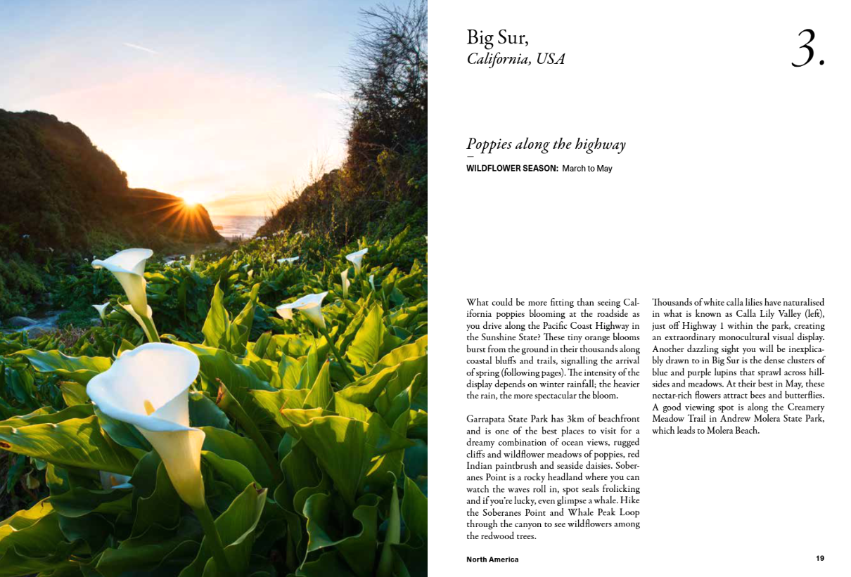 The Wildflower Travel Book - 50 colourful destinations in nature