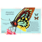 Het dikke boek van alle bijzondere insecten en andere beestjes