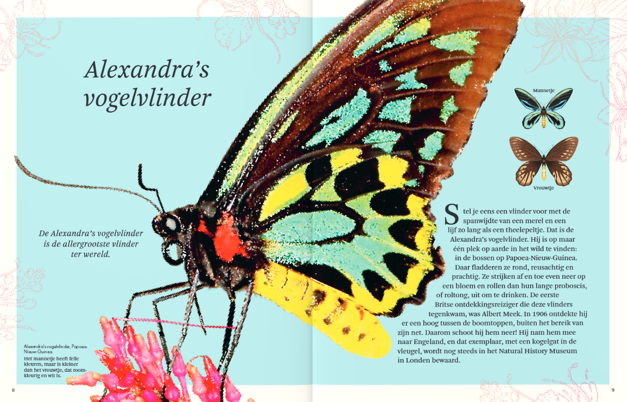 Het dikke boek van alle bijzondere insecten en andere beestjes