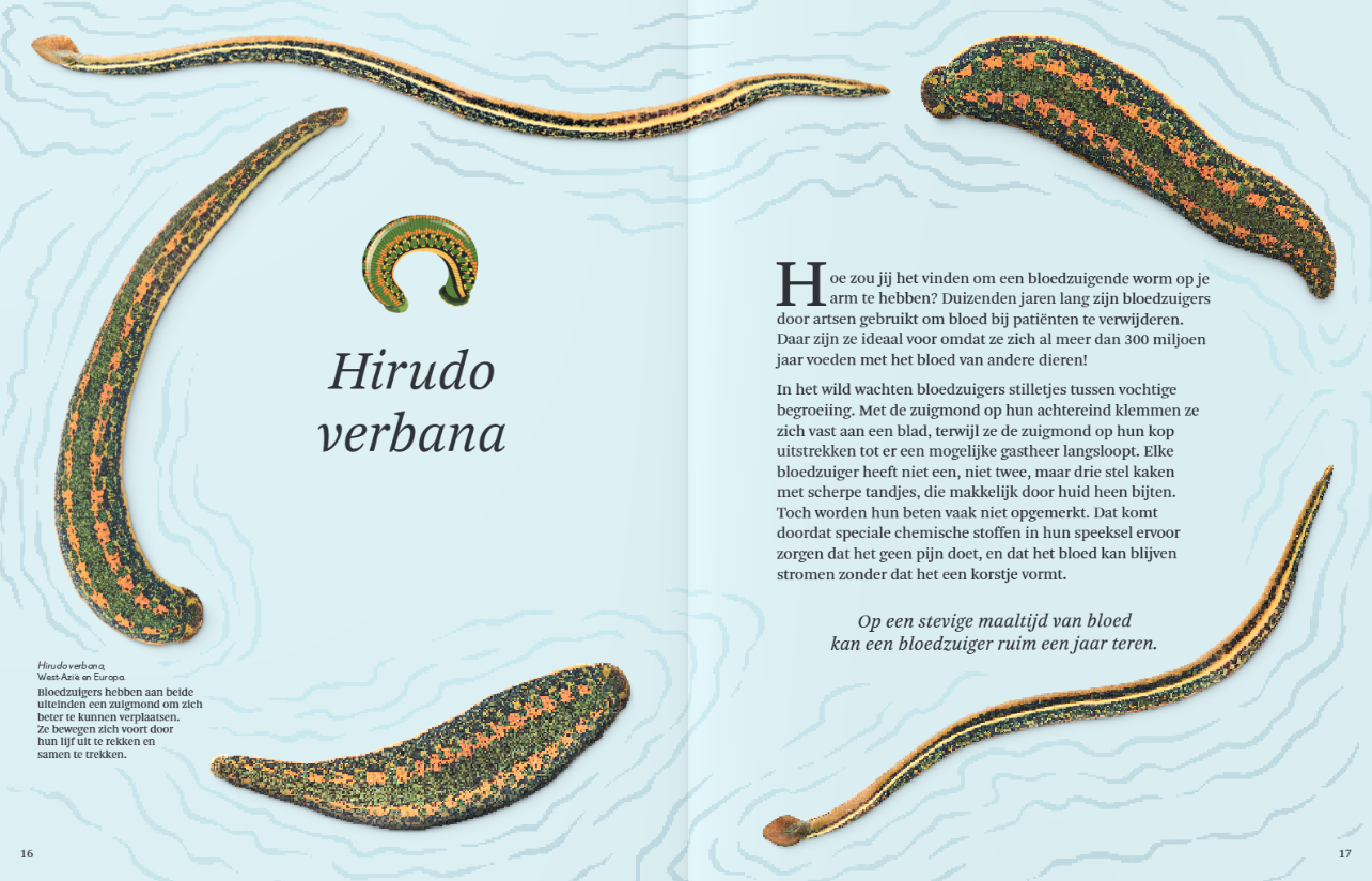 Het dikke boek van alle bijzondere insecten en andere beestjes