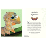 Het dikke boek van alle bijzondere insecten en andere beestjes