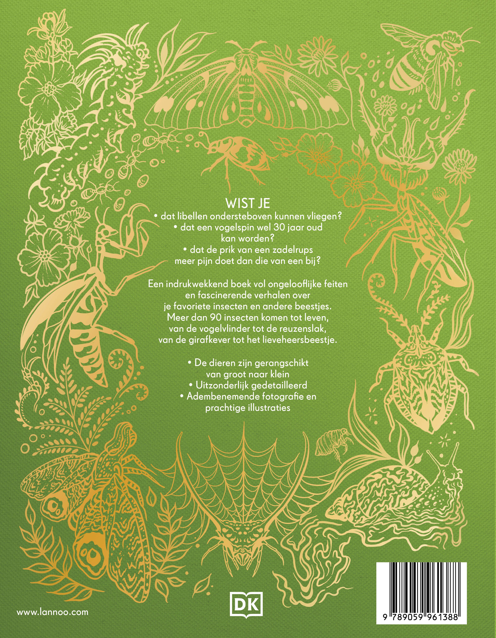 Het dikke boek van alle bijzondere insecten en andere beestjes