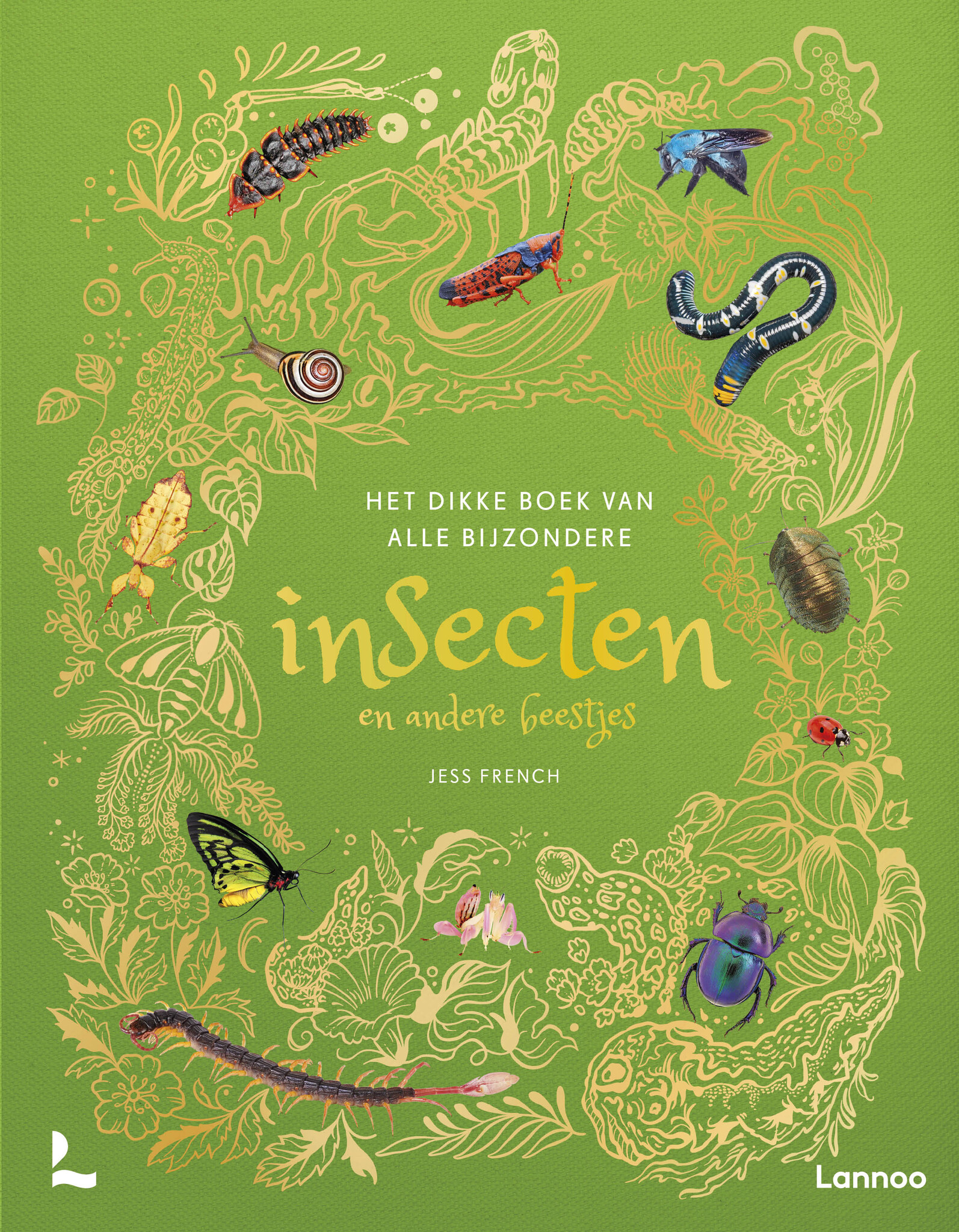 Het dikke boek van alle bijzondere insecten en andere beestjes