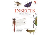 Insects of Britain and Europe