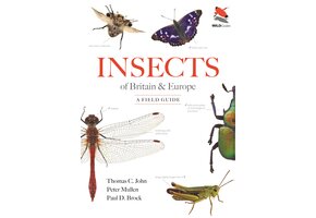 Insects of Britain and Europe
