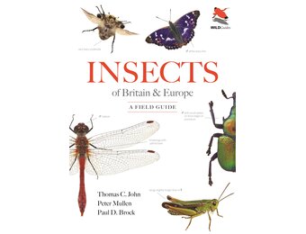 Insects of Britain and Europe