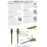 Insects of Britain and Europe - A Field Guide