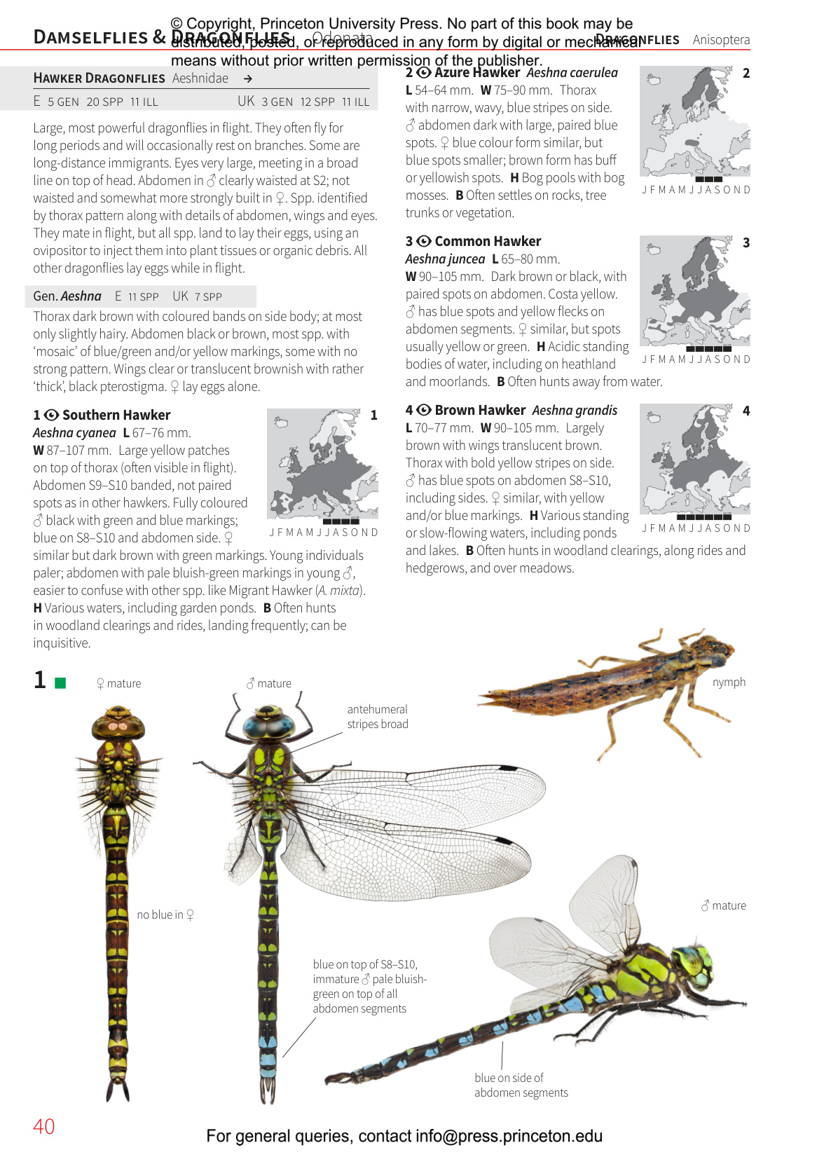 Insects of Britain and Europe - A Field Guide