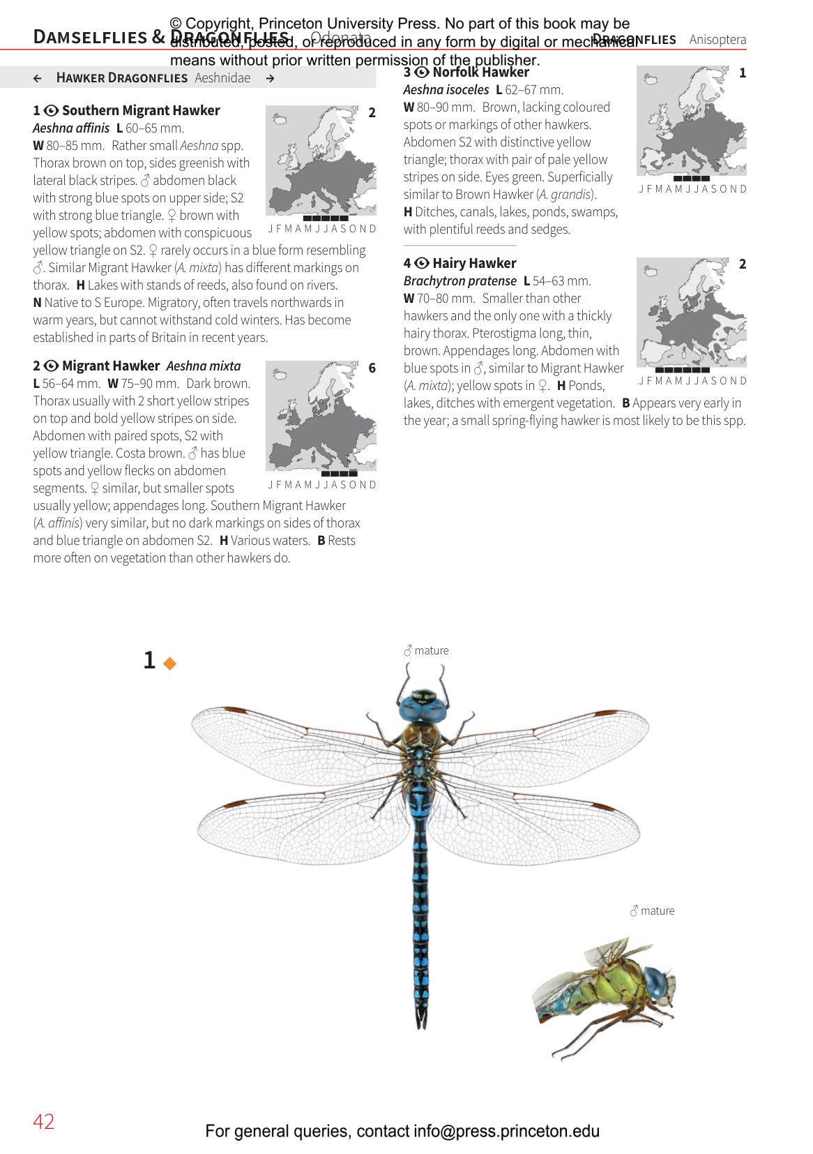 Insects of Britain and Europe - A Field Guide
