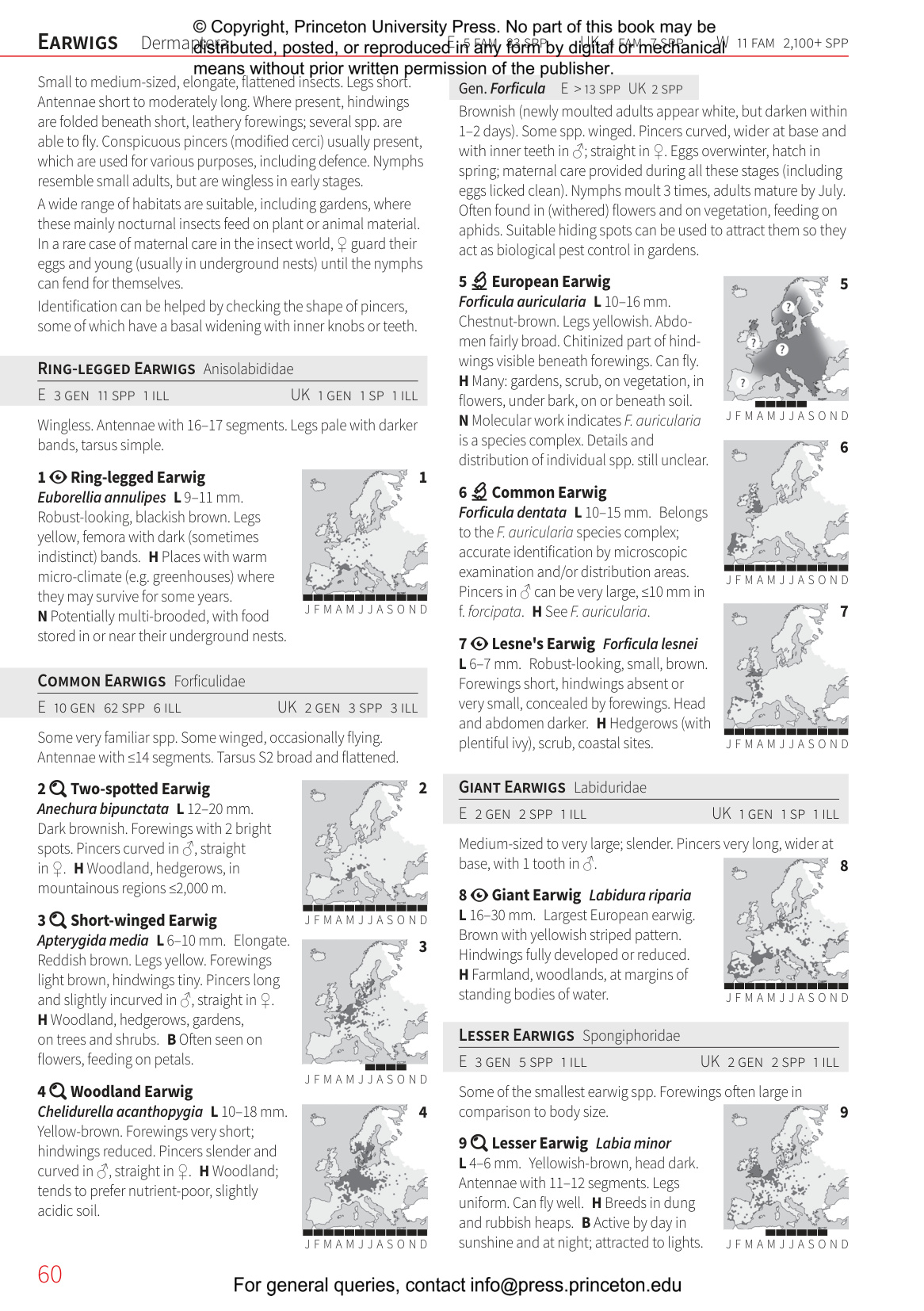 Insects of Britain and Europe - A Field Guide