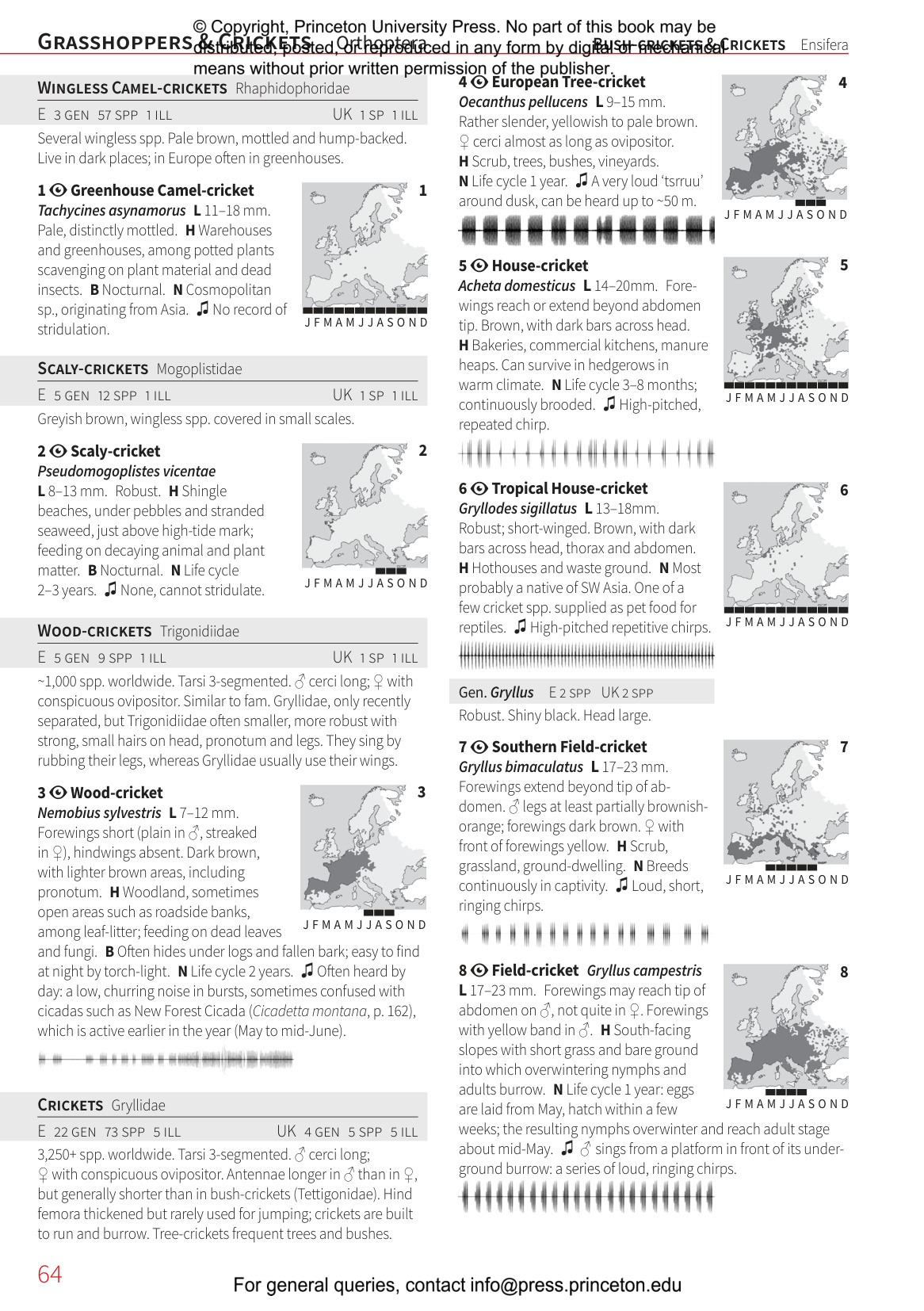 Insects of Britain and Europe - A Field Guide