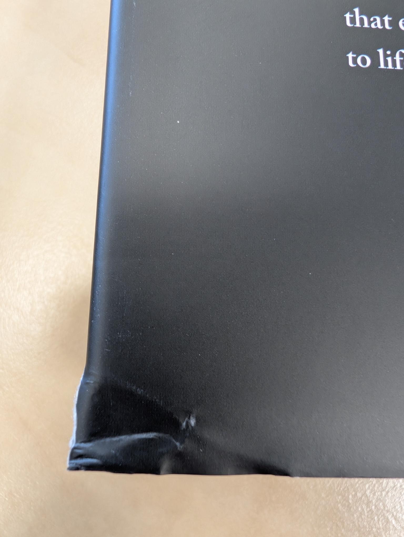 Beschadigd exemplaar – Bats - An Illustrated Guide to All Species