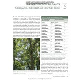 Costa Rica's Rainforests - The Natural History of the Plants and Animals of La Selva