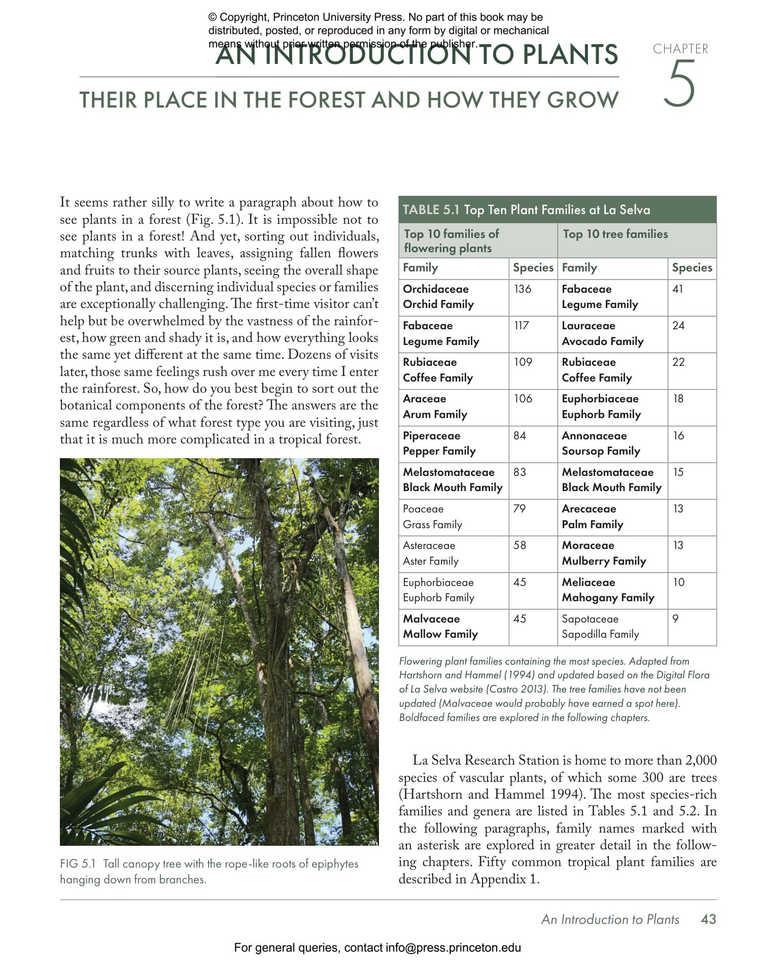 Costa Rica's Rainforests - The Natural History of the Plants and Animals of La Selva