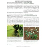 Costa Rica's Rainforests - The Natural History of the Plants and Animals of La Selva