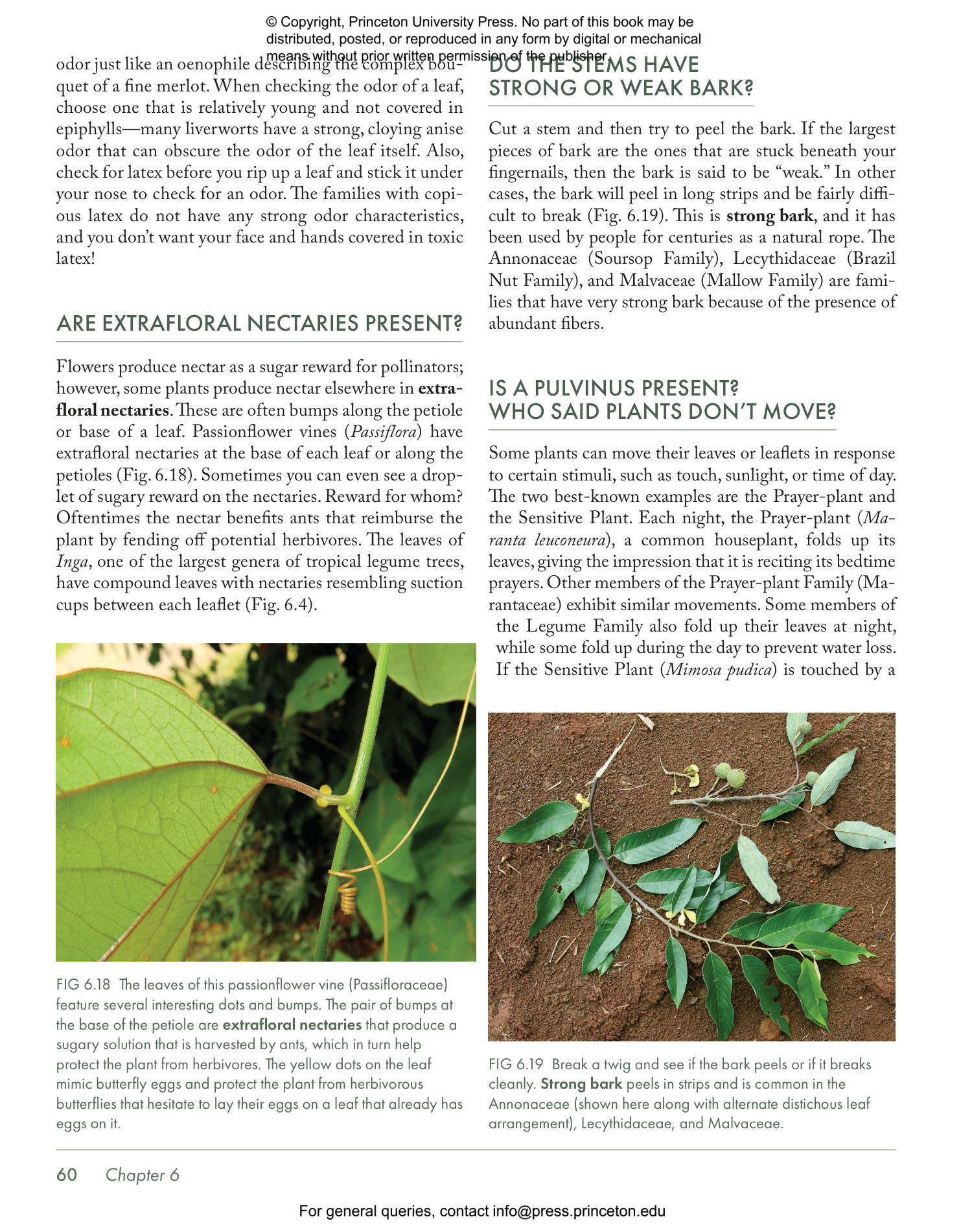 Costa Rica's Rainforests - The Natural History of the Plants and Animals of La Selva