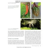 Costa Rica's Rainforests - The Natural History of the Plants and Animals of La Selva
