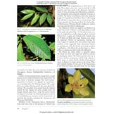 Costa Rica's Rainforests - The Natural History of the Plants and Animals of La Selva