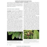 Costa Rica's Rainforests - The Natural History of the Plants and Animals of La Selva