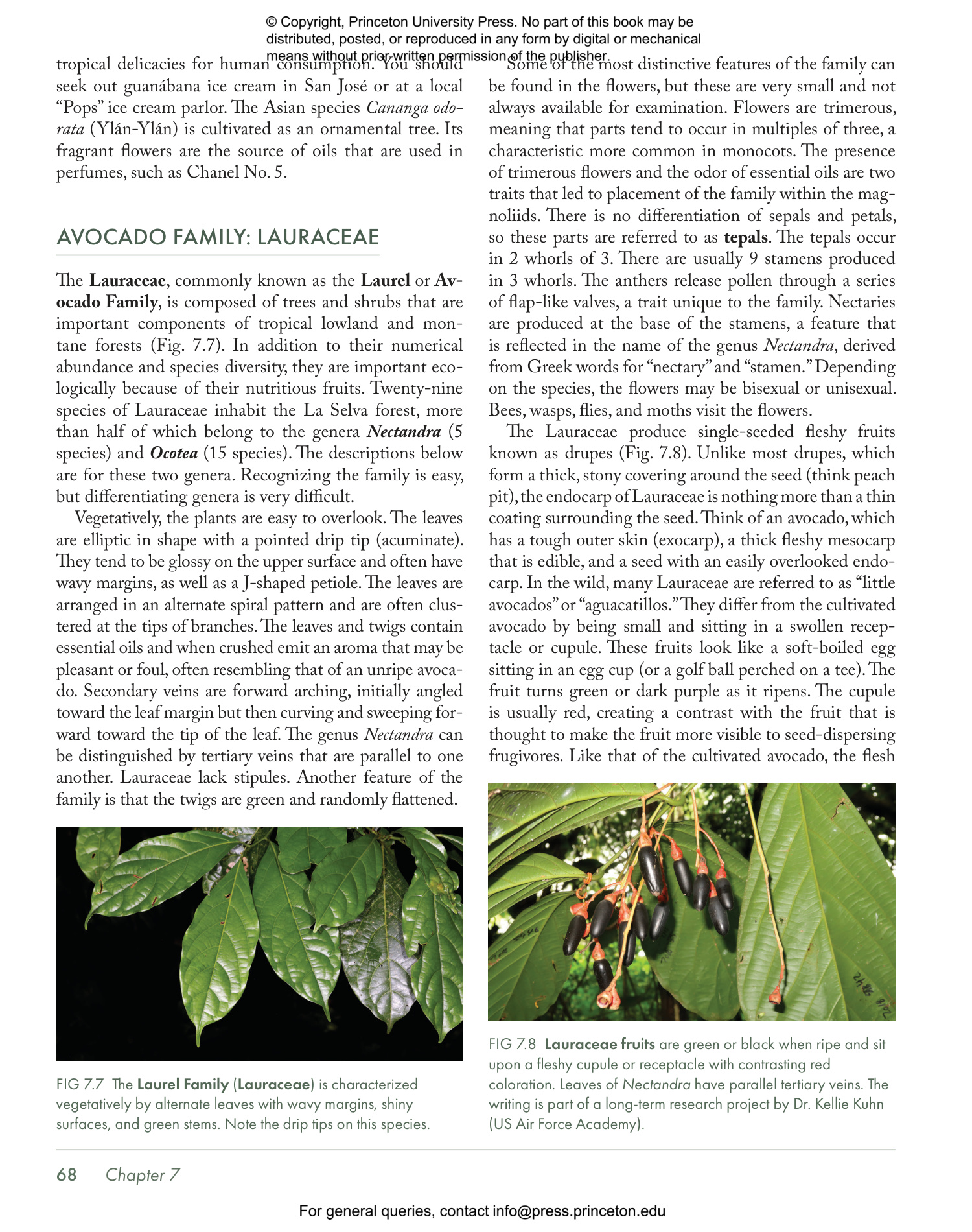 Costa Rica's Rainforests - The Natural History of the Plants and Animals of La Selva