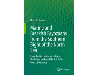 Marine and Brackish Bryozoans from the Southern Bight of the North Sea