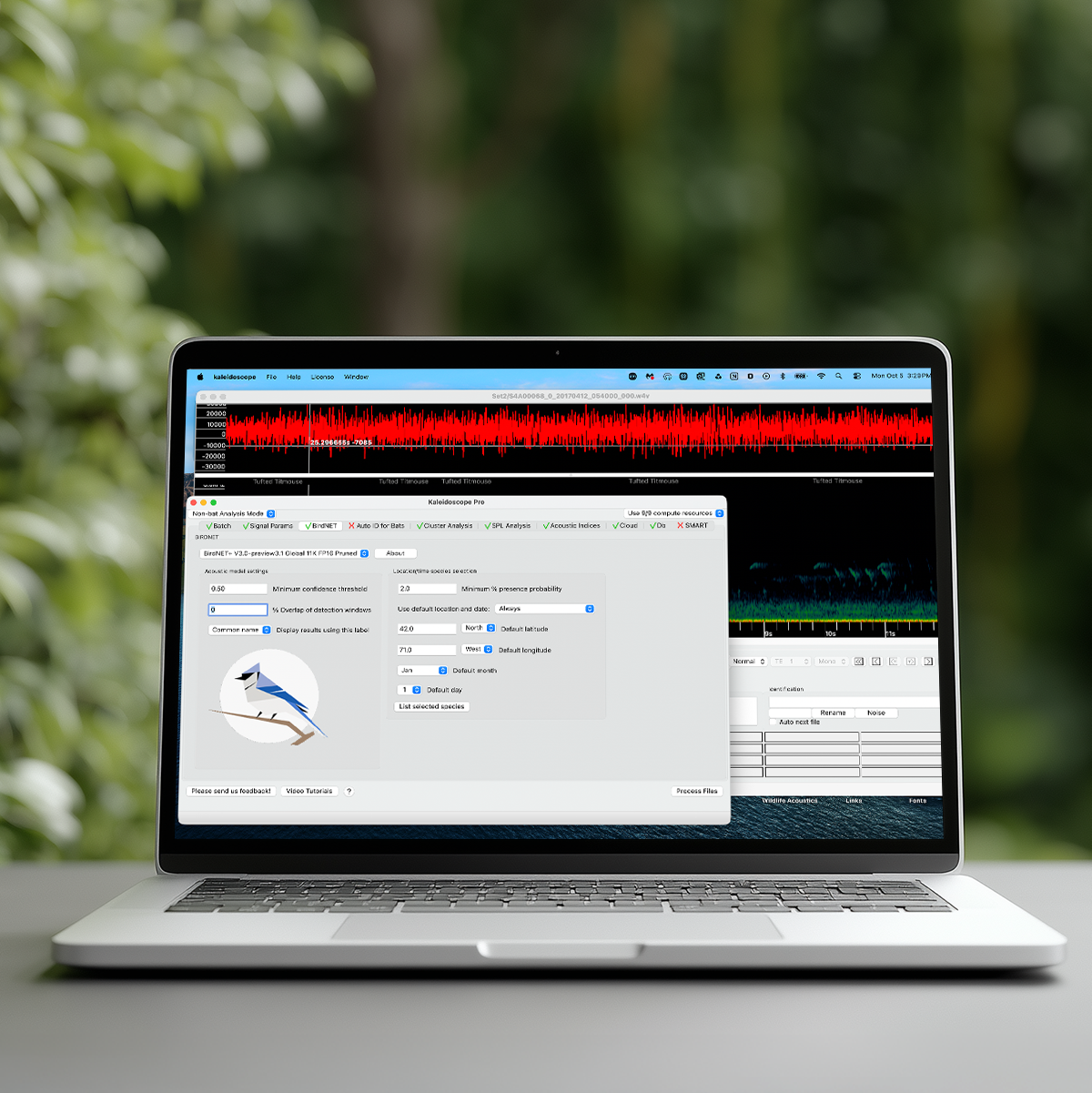 Kaleidoscope BirdNET Software license
