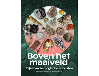 Boven het maaiveld