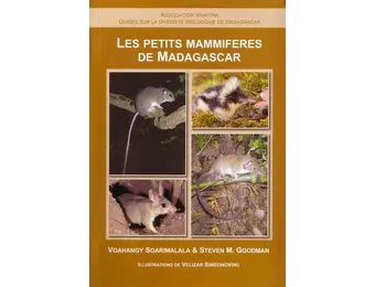Les petits mammifères de Madagascar