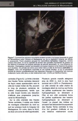Les Animaux et Ecosystemes de l'Holocene Disparus de Madagascar