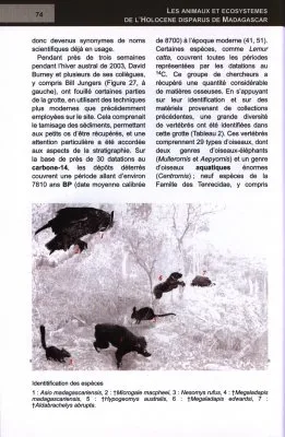 Les Animaux et Ecosystemes de l'Holocene Disparus de Madagascar