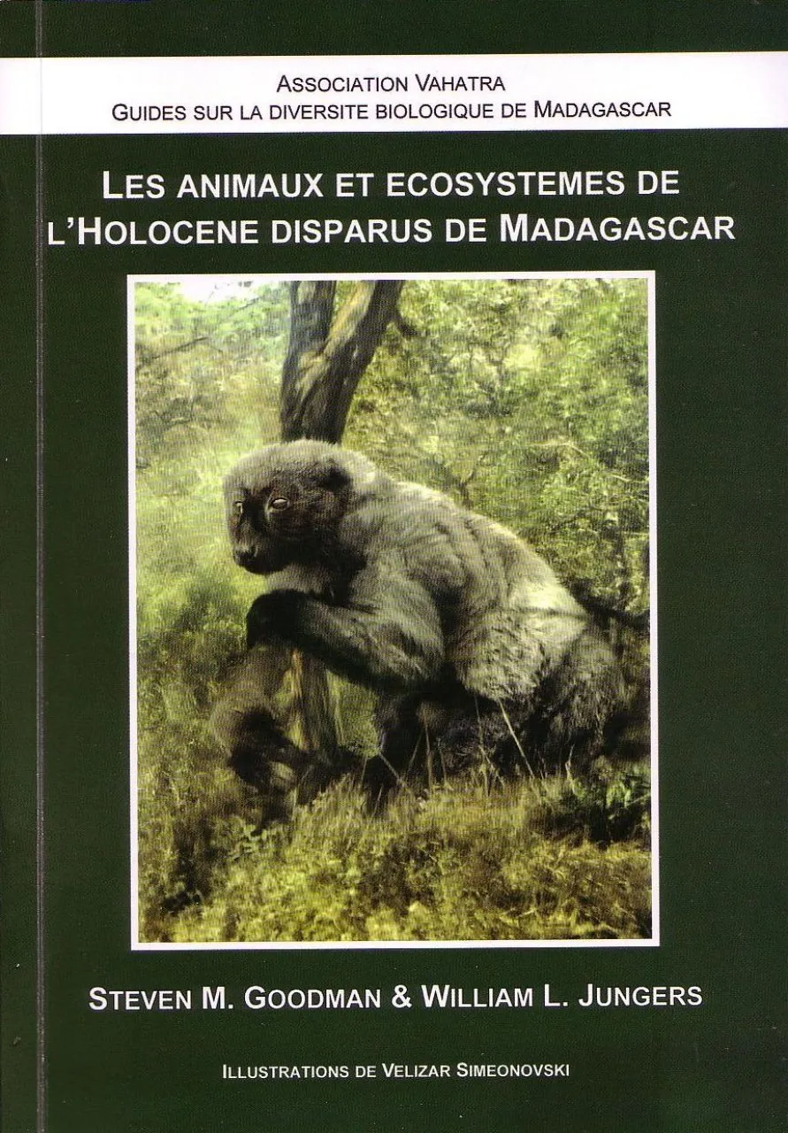 Les Animaux et Ecosystemes de l'Holocene Disparus de Madagascar