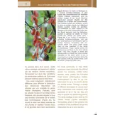Les Aires Protégées de l’Isalo et Zombitse-Vohibasia dans le Centre Sud-Ouest de Madagascar / The Protected Areas of Isalo and Zombitse-Vohibasia in Central Southwestern Madagascar