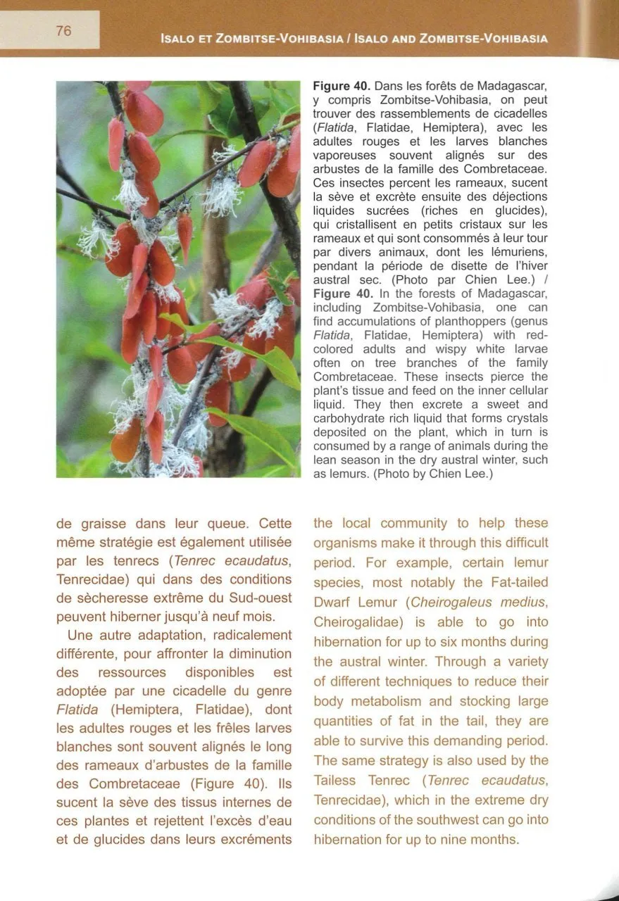 Les Aires Protégées de l’Isalo et Zombitse-Vohibasia dans le Centre Sud-Ouest de Madagascar / The Protected Areas of Isalo and Zombitse-Vohibasia in Central Southwestern Madagascar
