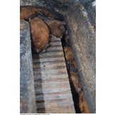 Schwegler Bat Hibernation Box 1FW