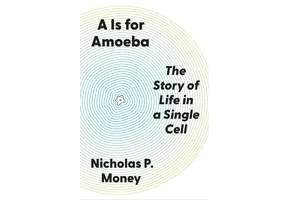 A Is for Amoeba